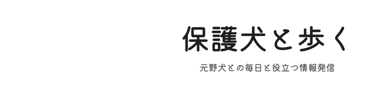 保護犬と歩く